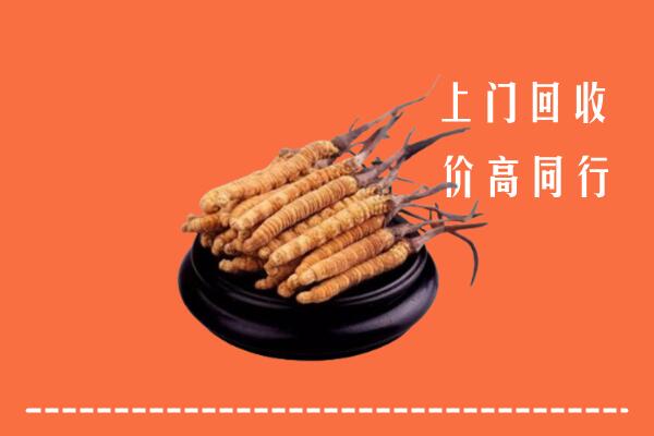 高价求购：三明市尤溪回收散虫草