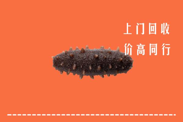 高价求购：三明市尤溪回收海参