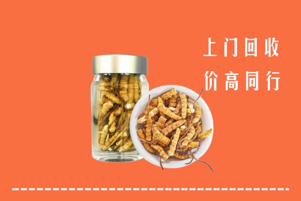 三明市尤溪回收冬虫夏草